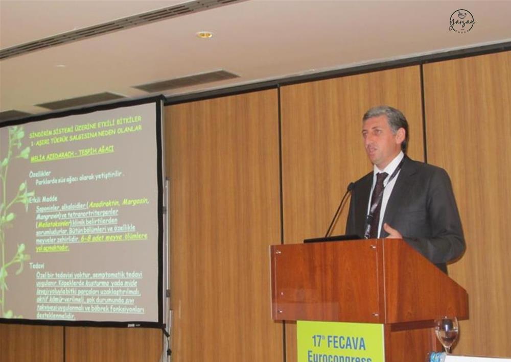 17. FECAVA AVRUPA VE 6. KHVHD KONGRESİ 