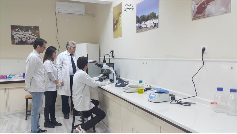 VET-ARI LABORATUVARI