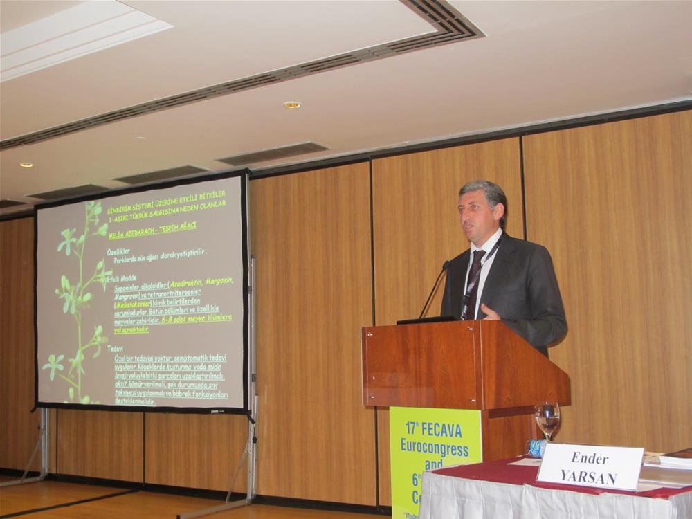 17. FECAVA AVRUPA VE 6. KHVHD KONGRESİ 