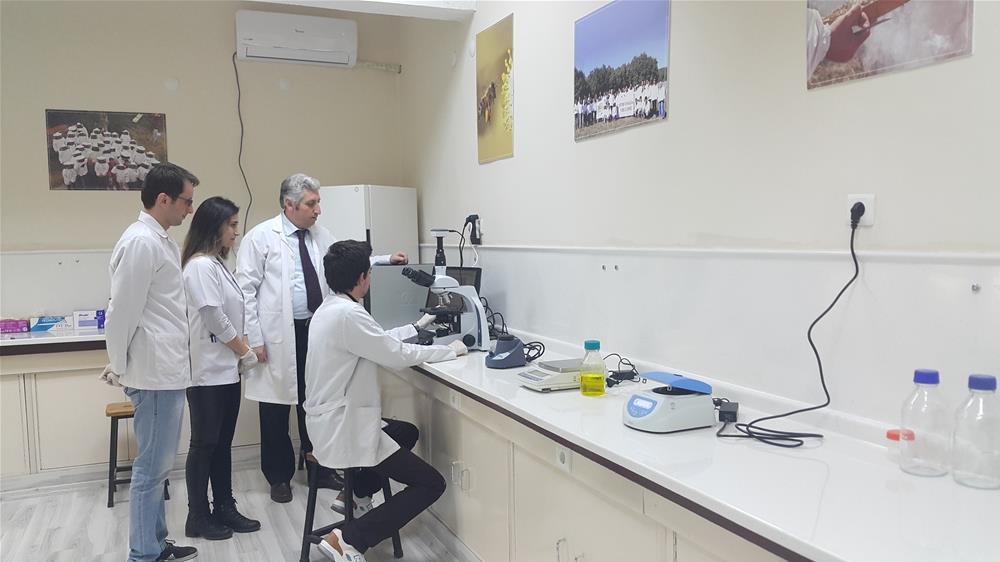 VET-ARI LABORATUVARI