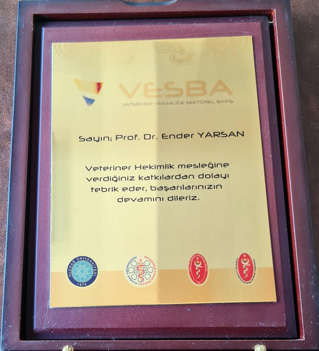 Prof. Dr. Ender YARSAN VESBA Ödül