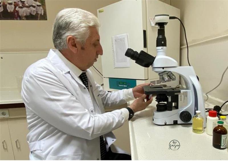 Araştırma Makaleleri