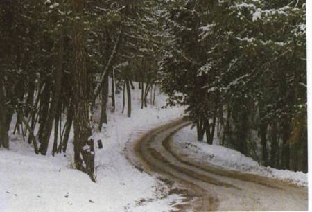 Kızılcahamam - Çamlıdere Bölgesinin Turizm Potansiyeli