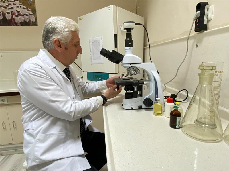 Araştırma Makaleleri